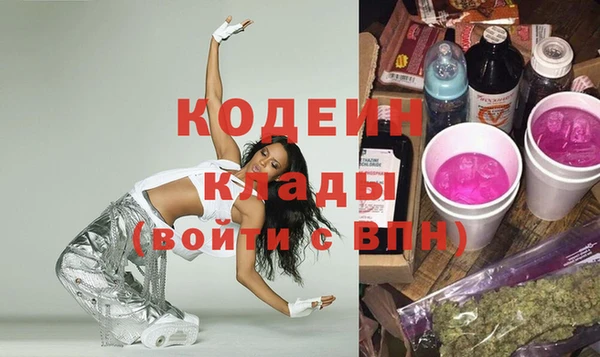 амф Каменка